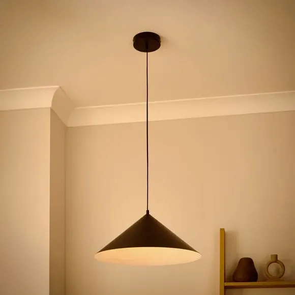 Industrial LED Pendant Light - Black, Steel