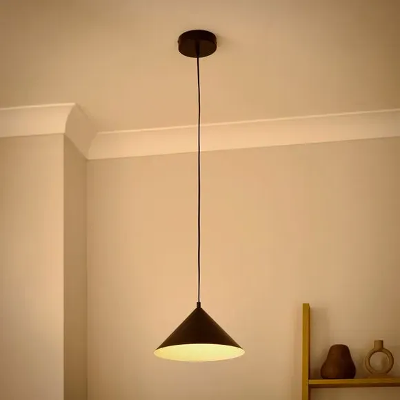 Industrial LED Pendant Light - Black, Steel