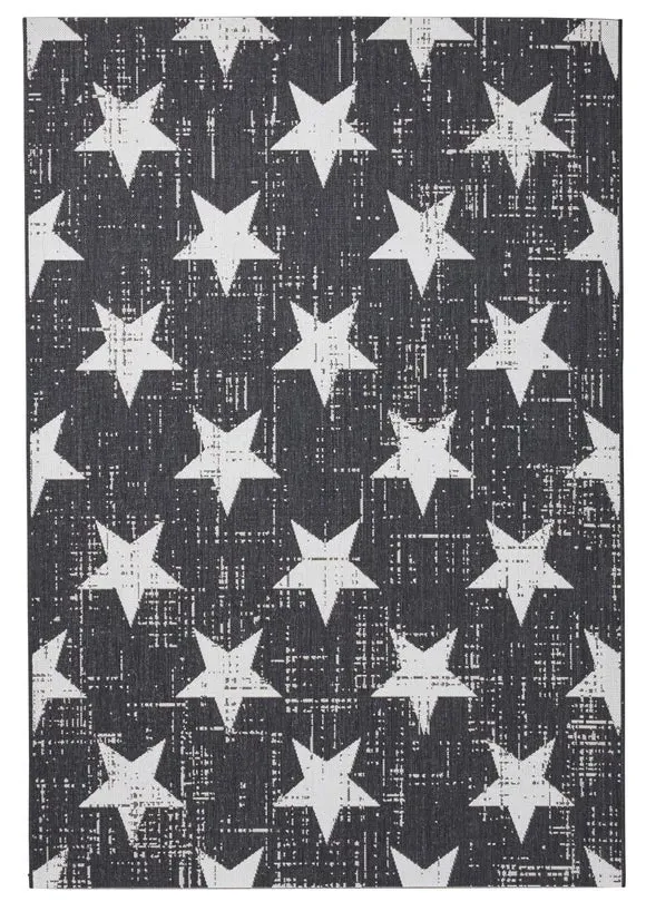 Indoor Outdoor Rug - Black, Polypropylene