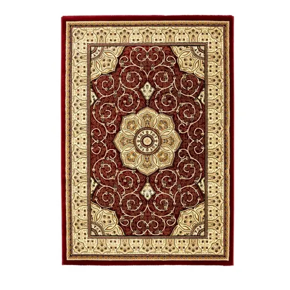 Oriental Rug with Medallion - Red