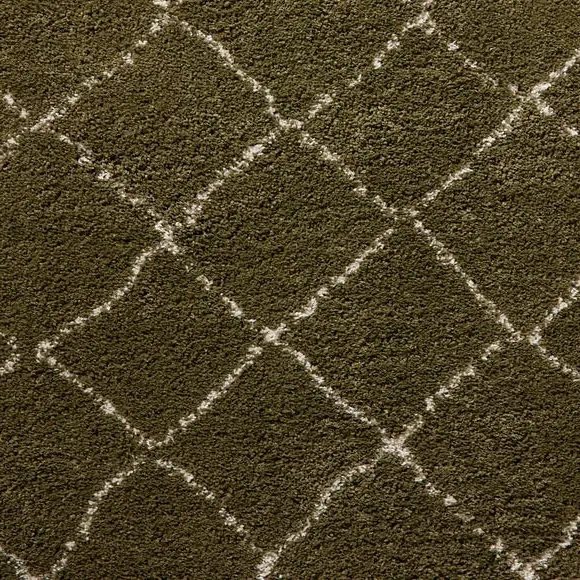 Runner Rug with Fringed Edge - Green, Shaggy