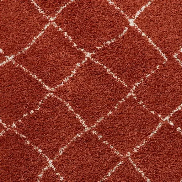 Runner Rug with Fringed Edge - Rust, Shaggy
