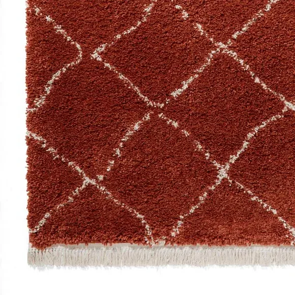 Runner Rug with Fringed Edge - Rust, Shaggy