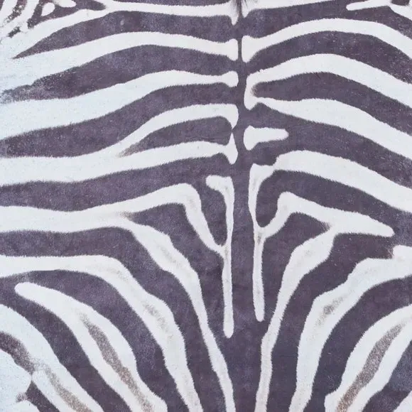 Zebra Print Rug - Black/White, Synthetic