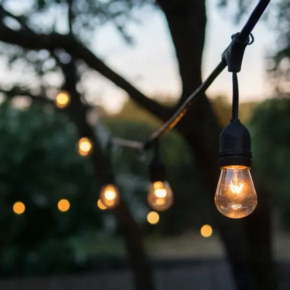 15-Bulb Festoon String Lights Bundle - Black