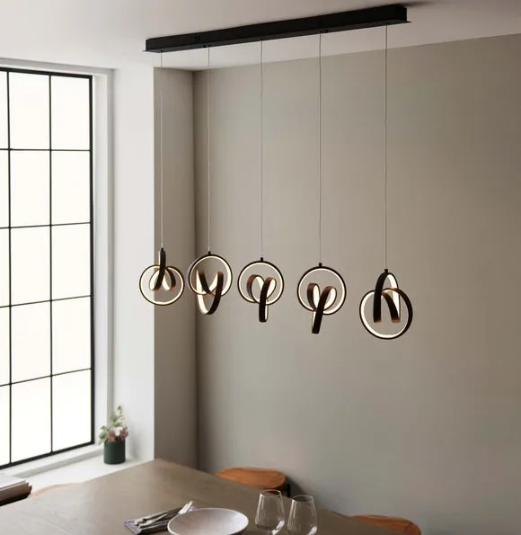 5 Light Ceiling Light with LED Hoops - Black image