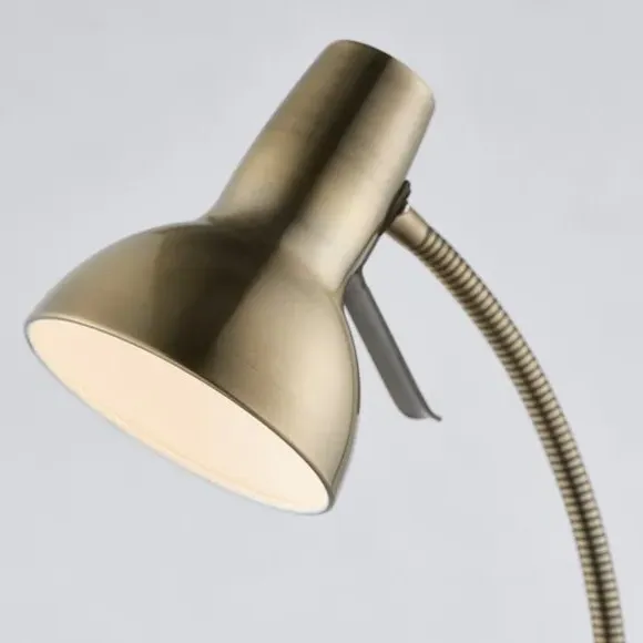 Adjustable Floor Lamp - Antique Brass, Steel