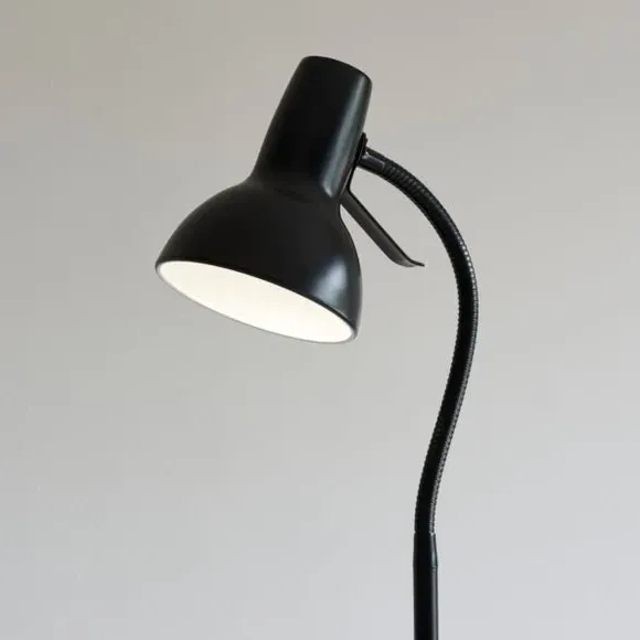 Adjustable Floor Lamp - Black, Steel