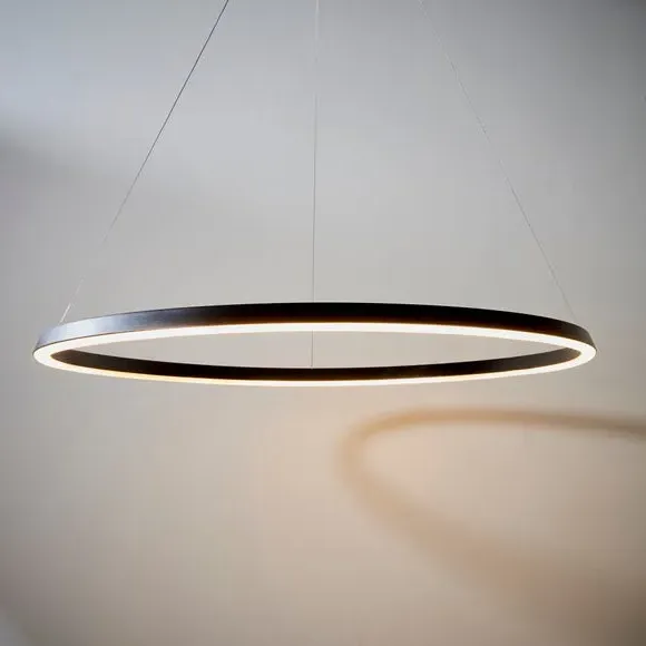 Hoop Ceiling Light with Integrated LED - Black image