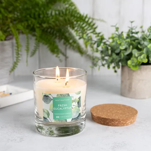 Multi Wick Candle Fresh Eucalyptus - Green, Glass image