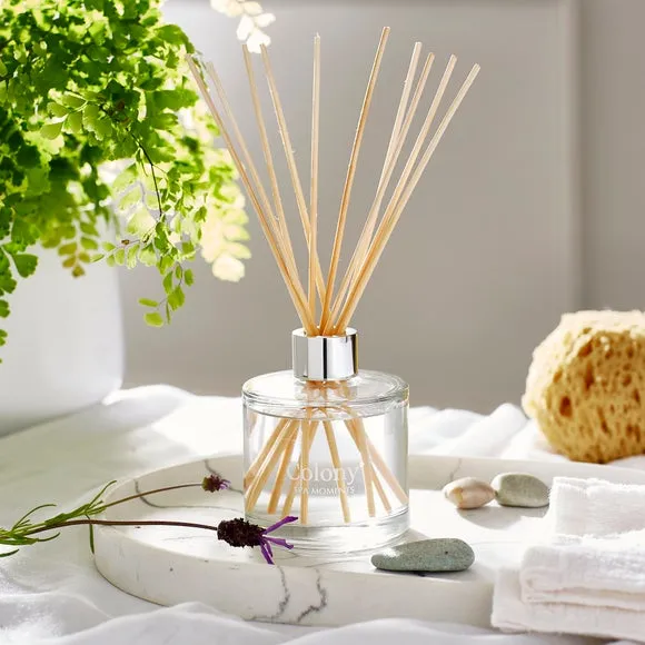 Reed Diffuser with Spa Fragrance - Grey, Glass image