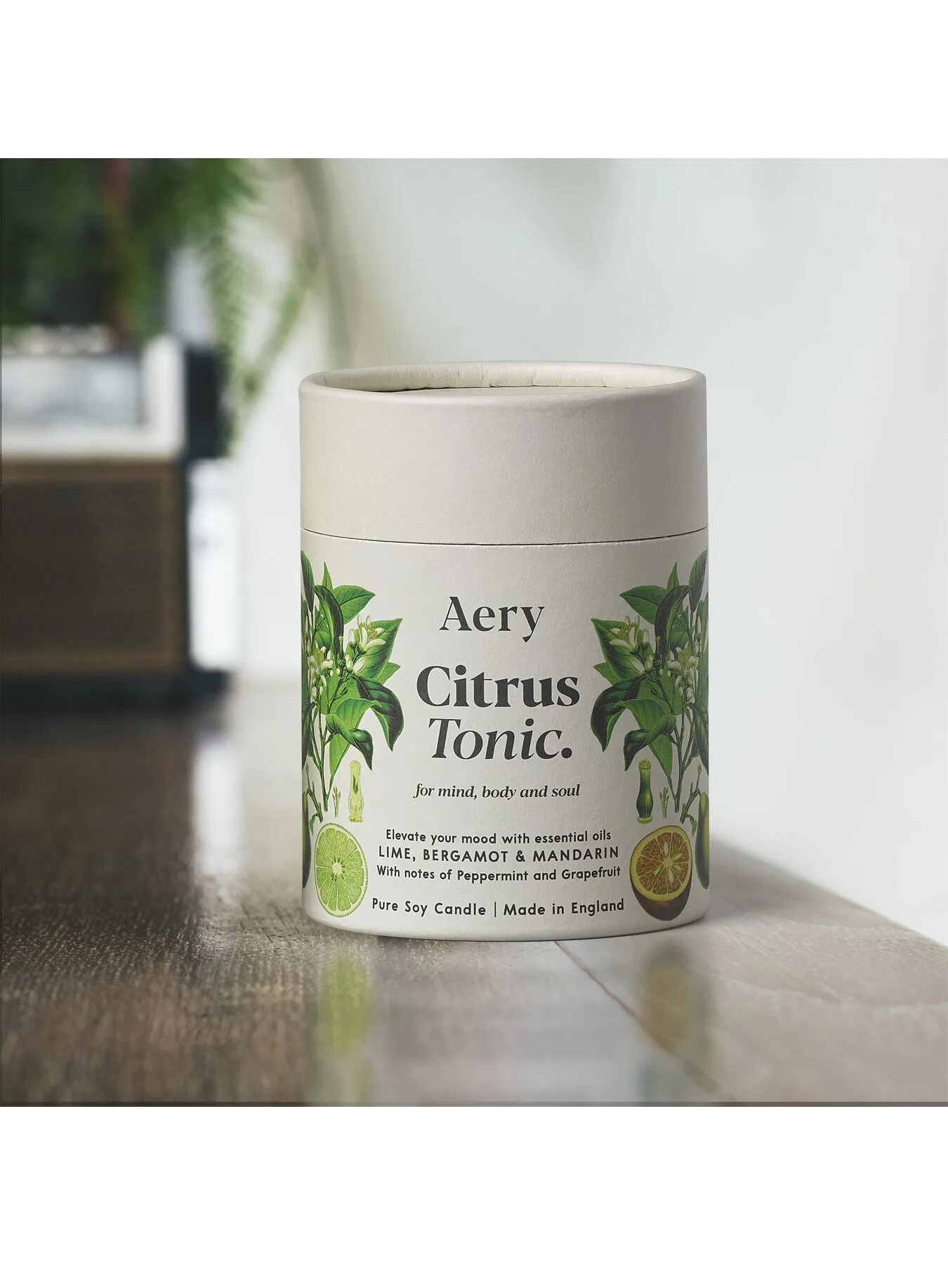 Botanical Candle - Citrus Tonic Scent
