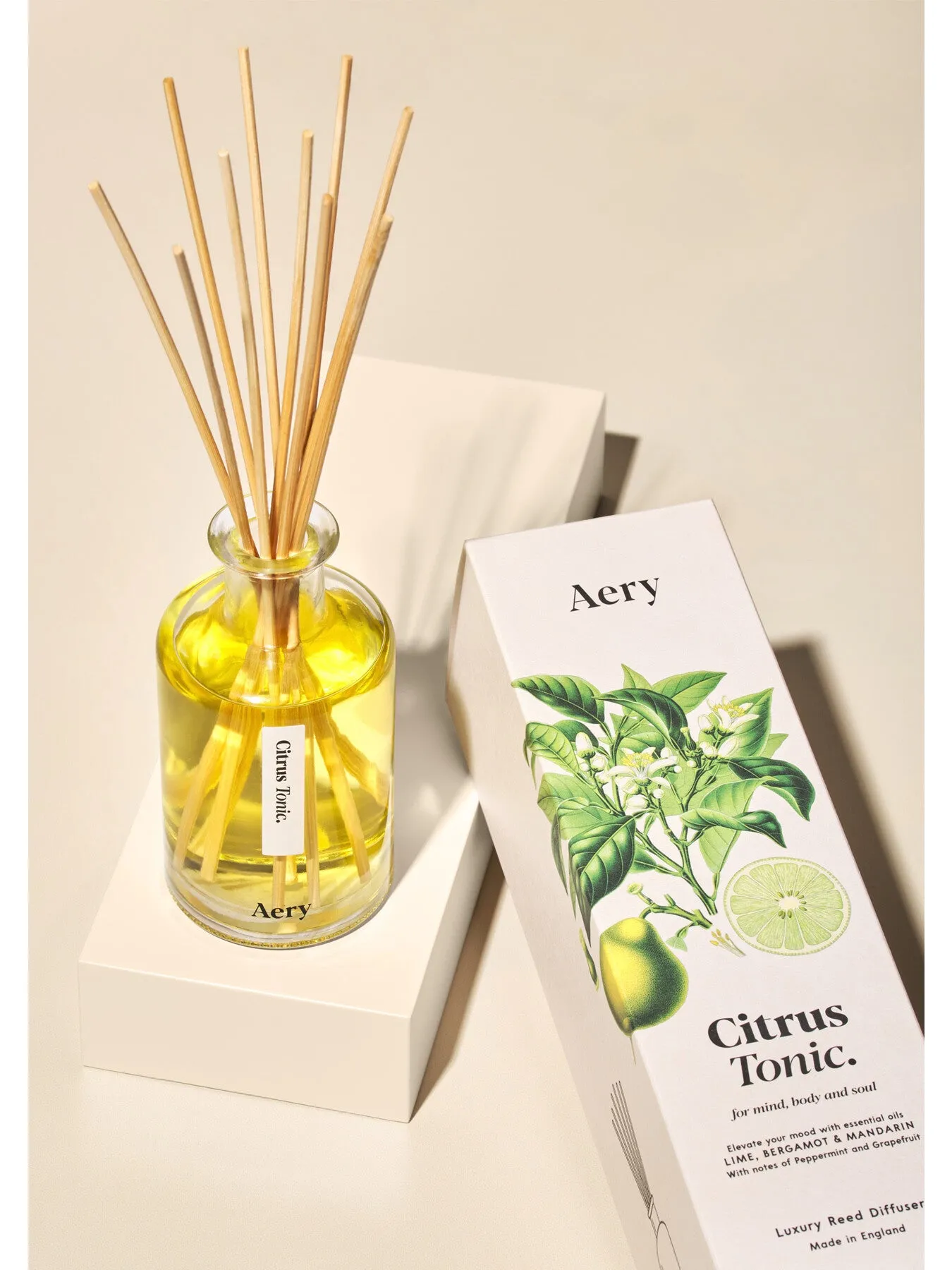 Botanical Diffuser - Citrus Tonic Scent