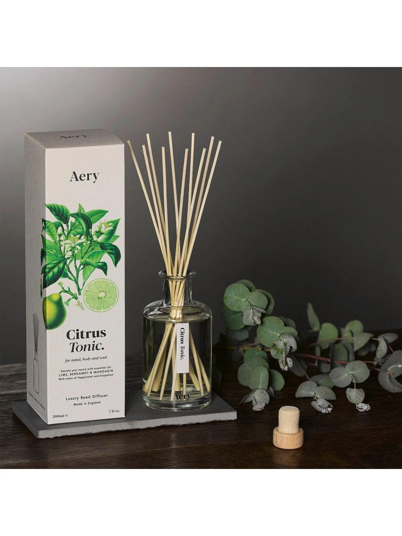 Botanical Diffuser - Citrus Tonic Scent
