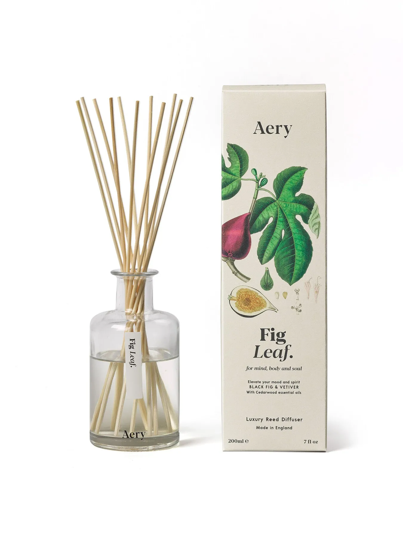 Botanical Diffuser - Fig Leaf Scent