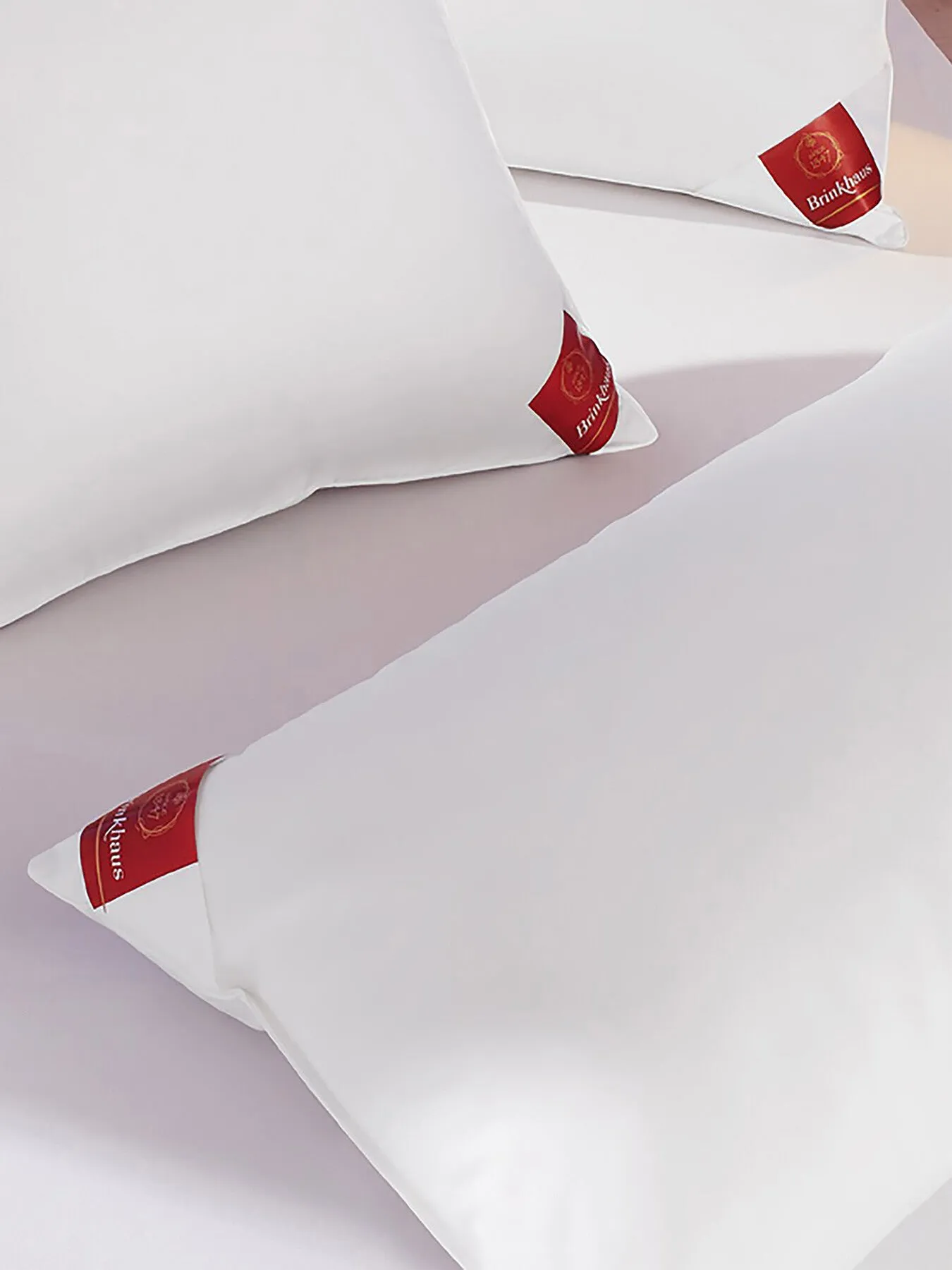 Standard Down Surround Pillow - White, Feather image