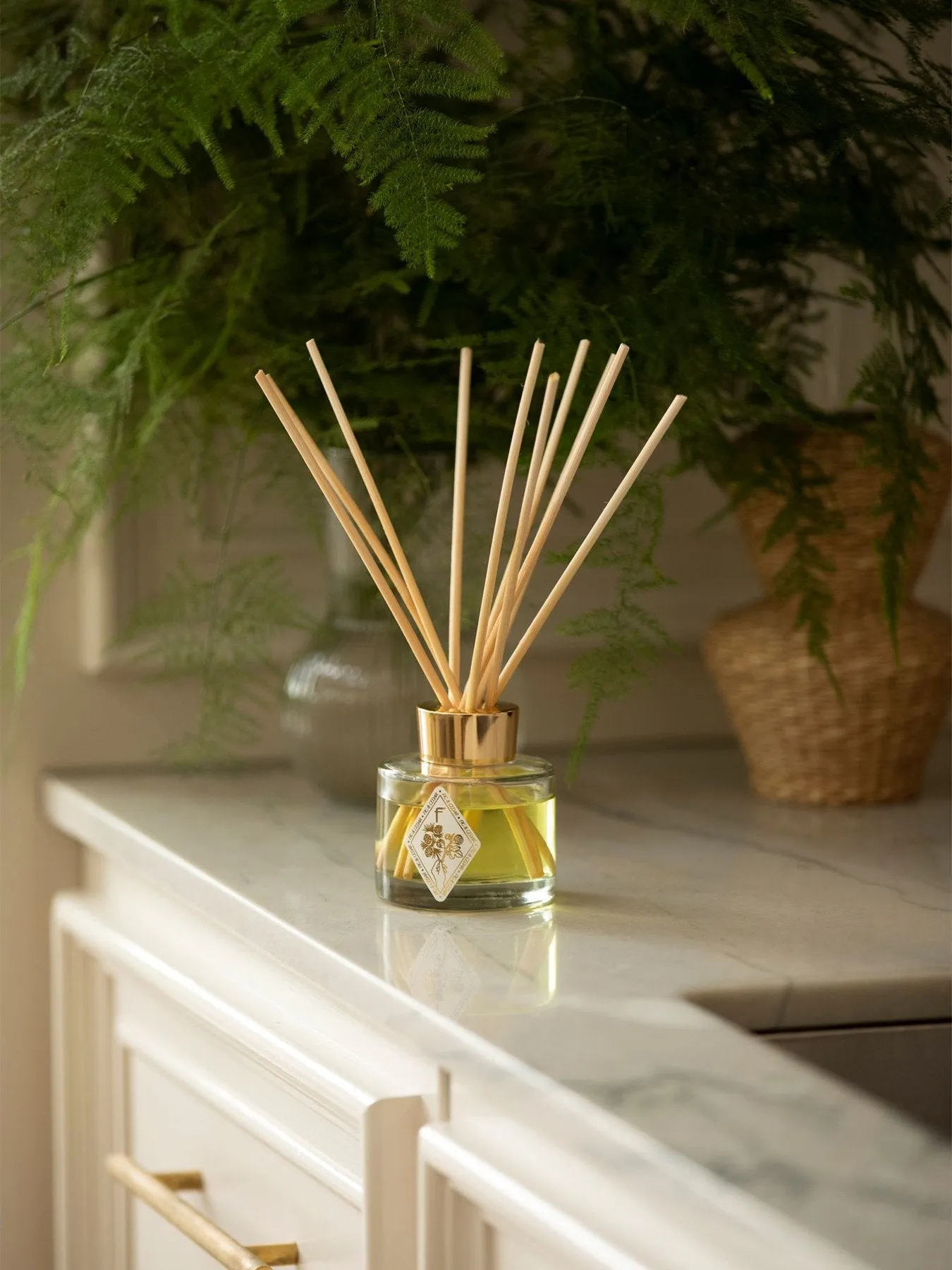 Reed Diffuser Fig Cedar Scent - 120ml