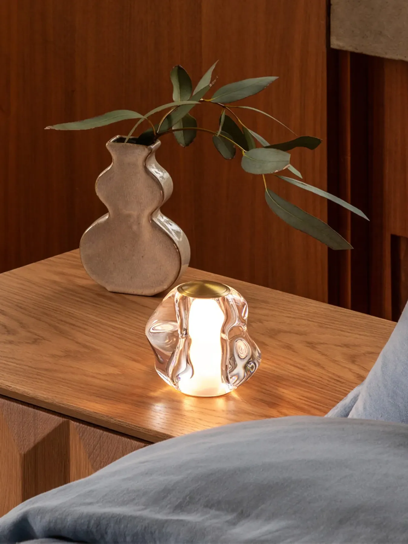 LED Portable Table Lamp - Brass, Acrylic