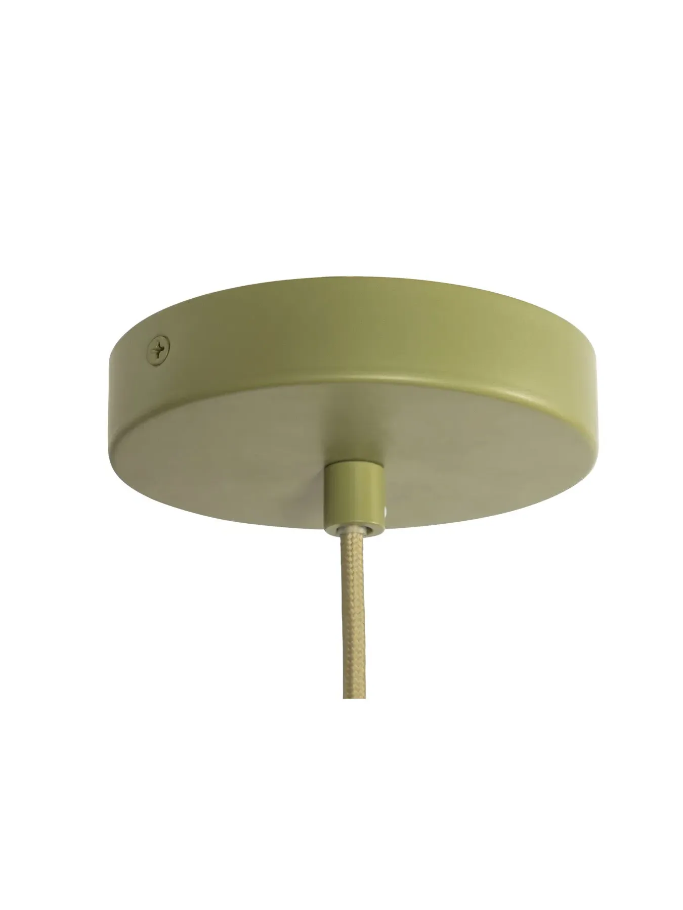 Pendant Light with Raffia Shade - Green, Natural