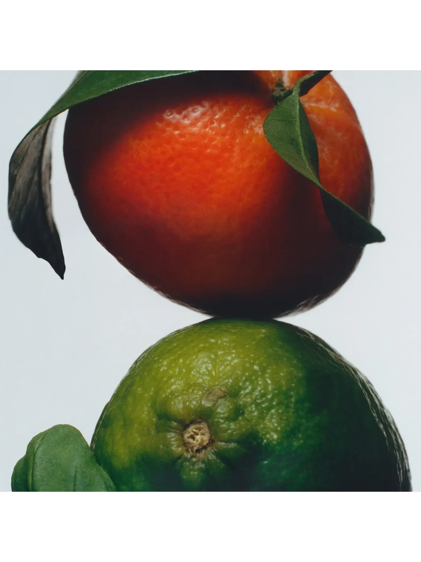 Large Luxury Candle - Lime Basil & Mandarin