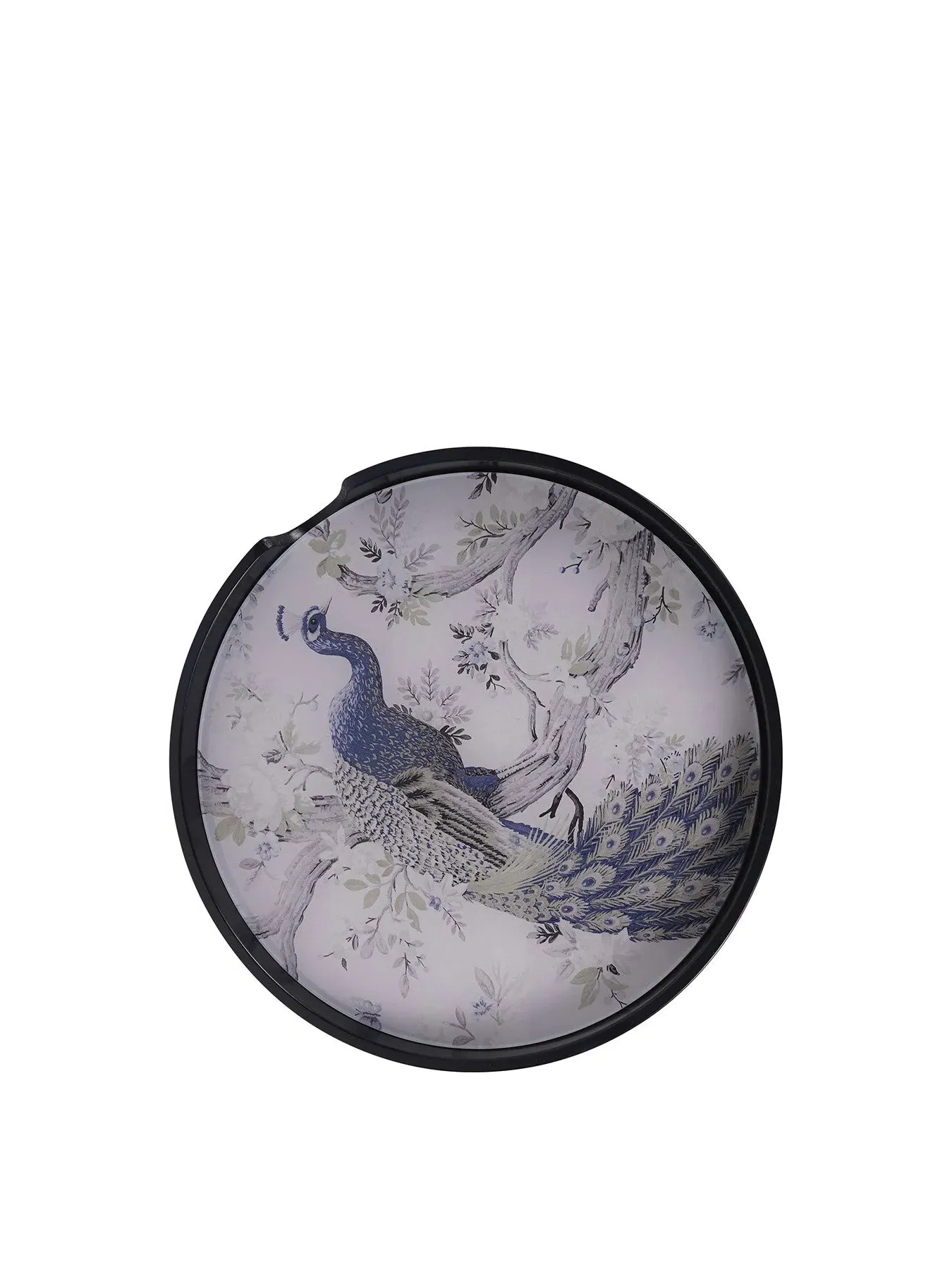 Set of 4 Placemats with Holder - Black, Peacock