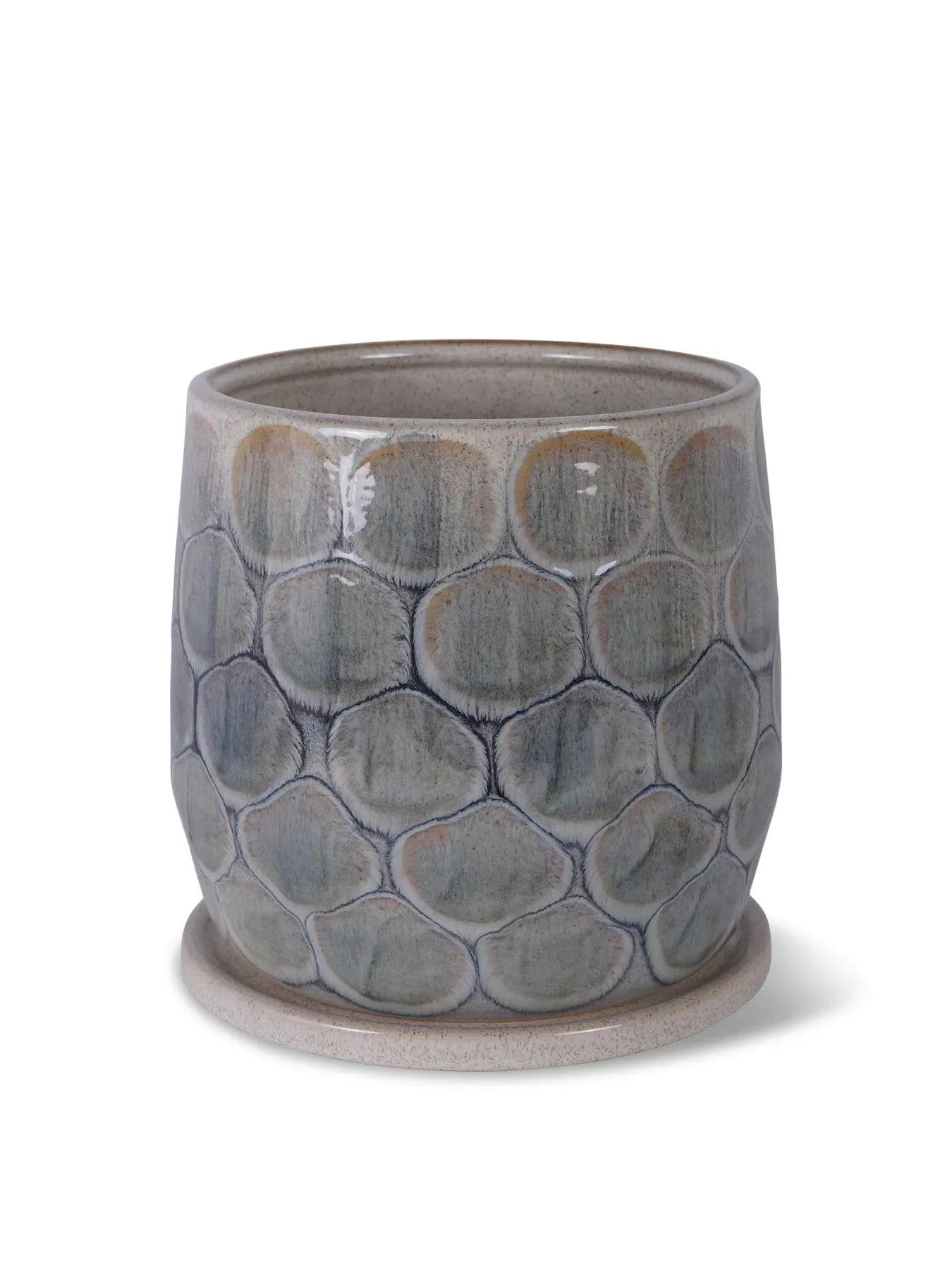 Armadillo Ceramic Planter with Base - Blue Grey image