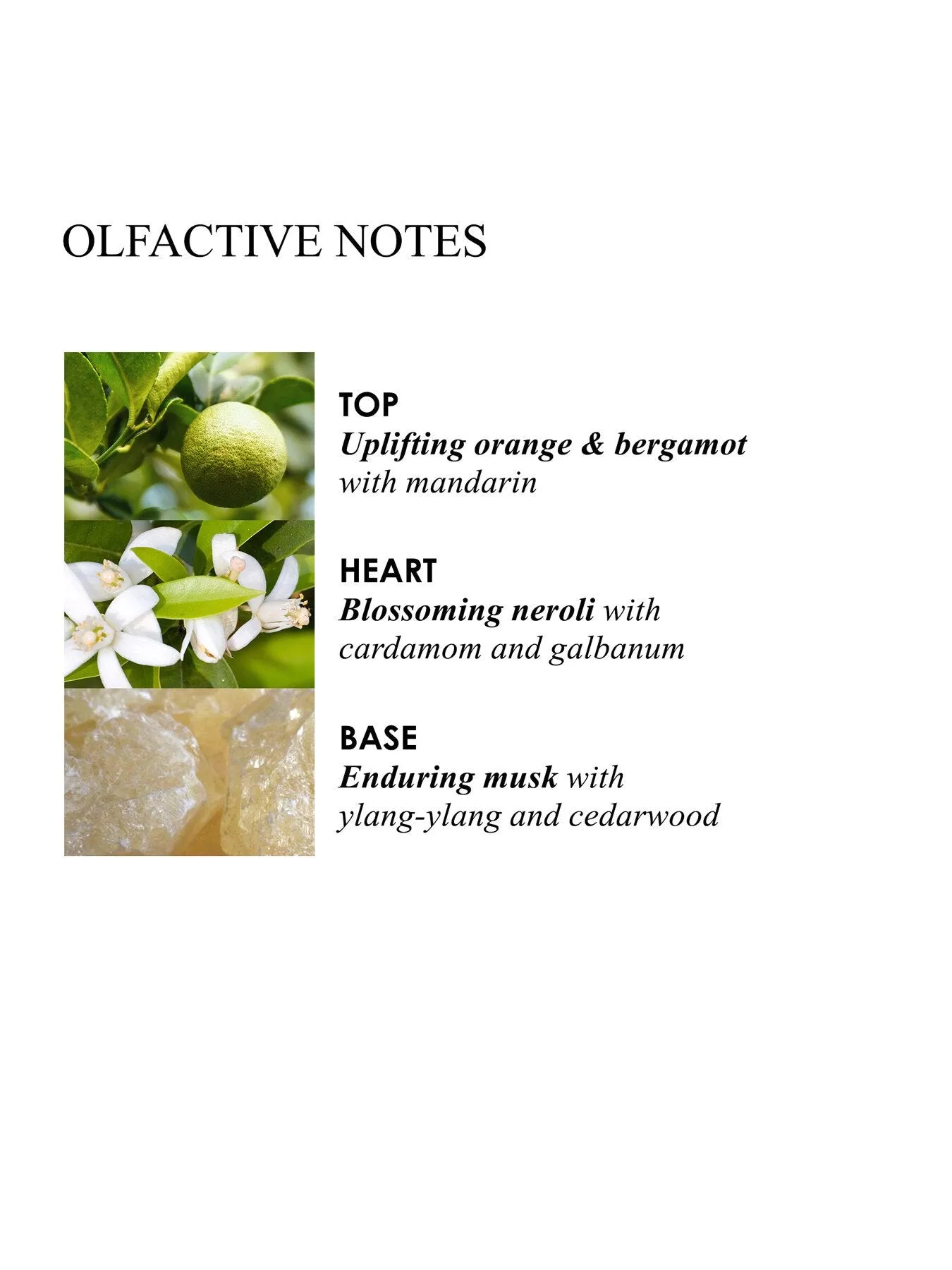 150ml Reed Diffuser - Orange Bergamot Scent