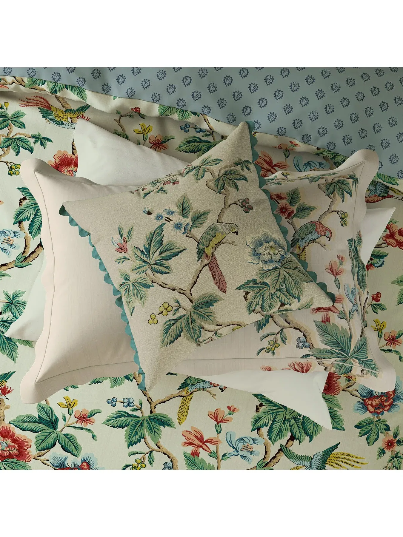 Square Cushion with Lophura Print - Chintz