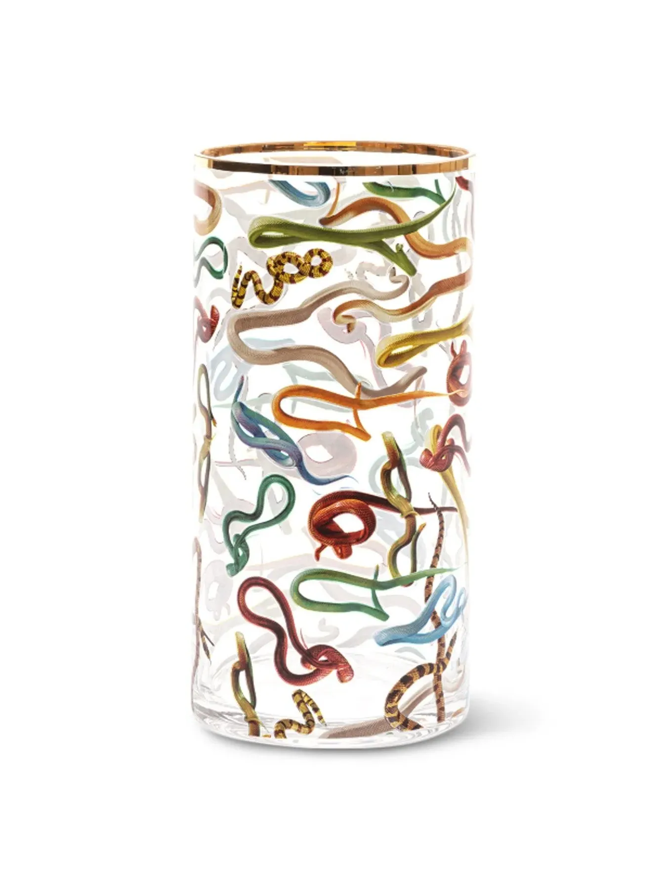 Glass Vase with Snake Print - Multicolor