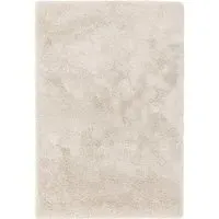 Shaggy Area Rug - Beige