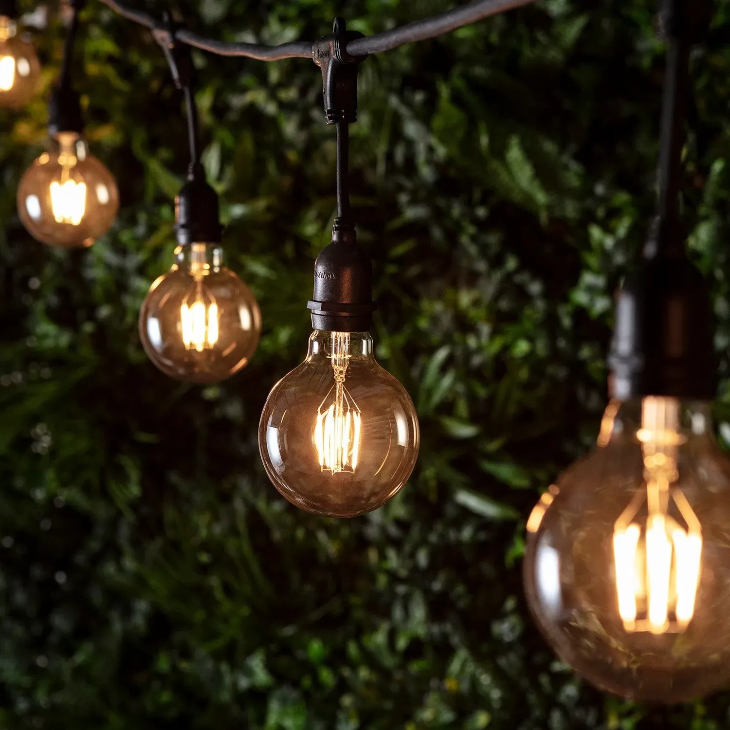 10-Bulb Festoon Light Bundle - Warm White, Glass