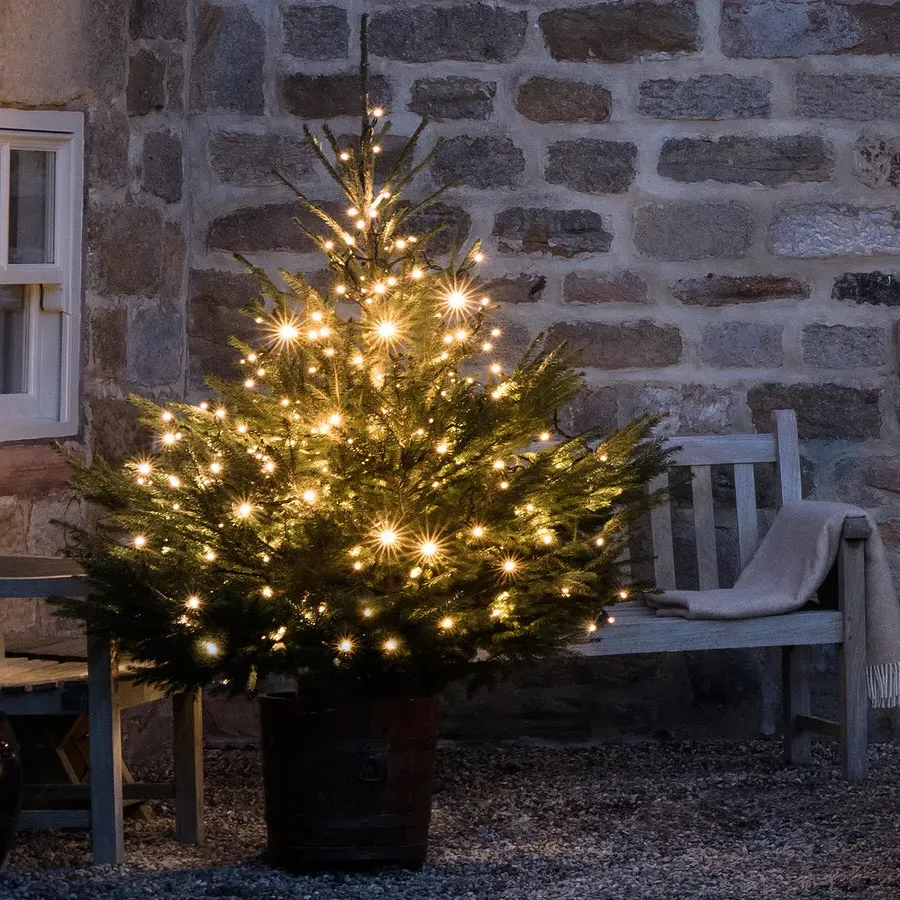100 LED Fairy Lights with Timer - Warm White image