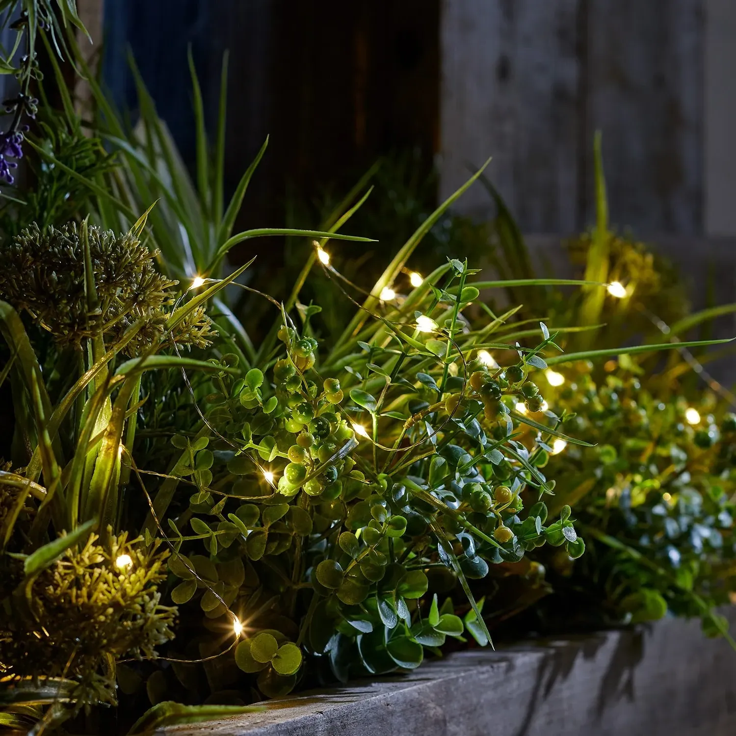 100 LED Micro Fairy Lights - Warm White