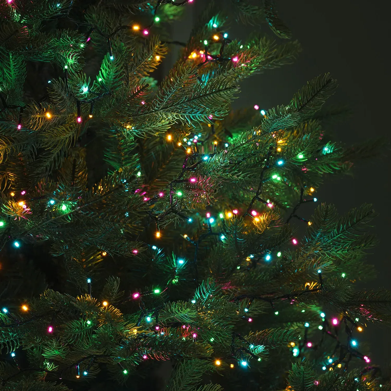 1000 LED String Lights with Timer - Multi Coloured