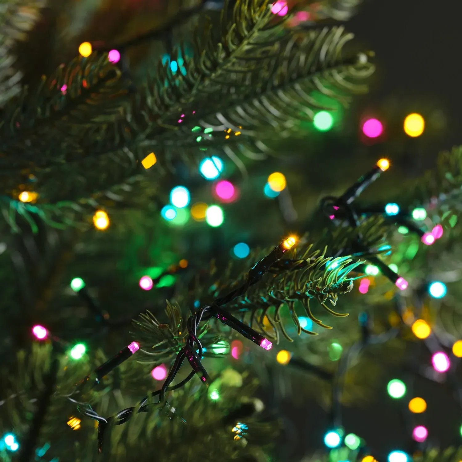 1000 LED String Lights with Timer - Multi Coloured image