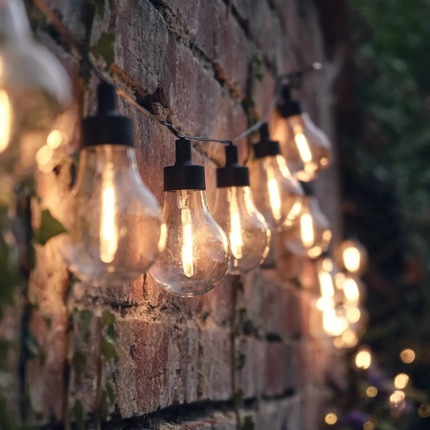 20-Bulb Battery Festoon Lights - Warm White image