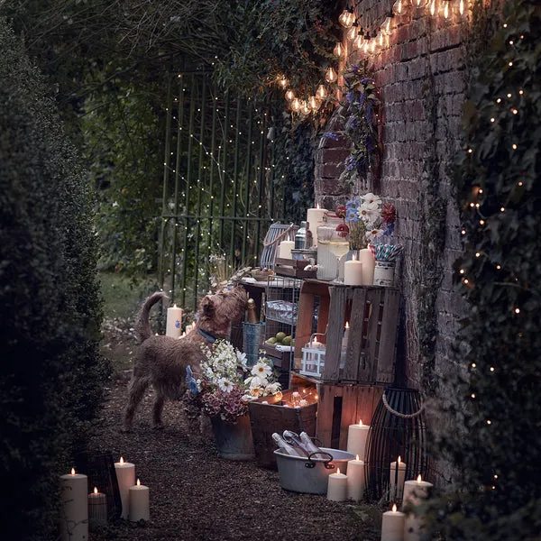 20-Bulb Solar Festoon Lights - Warm White