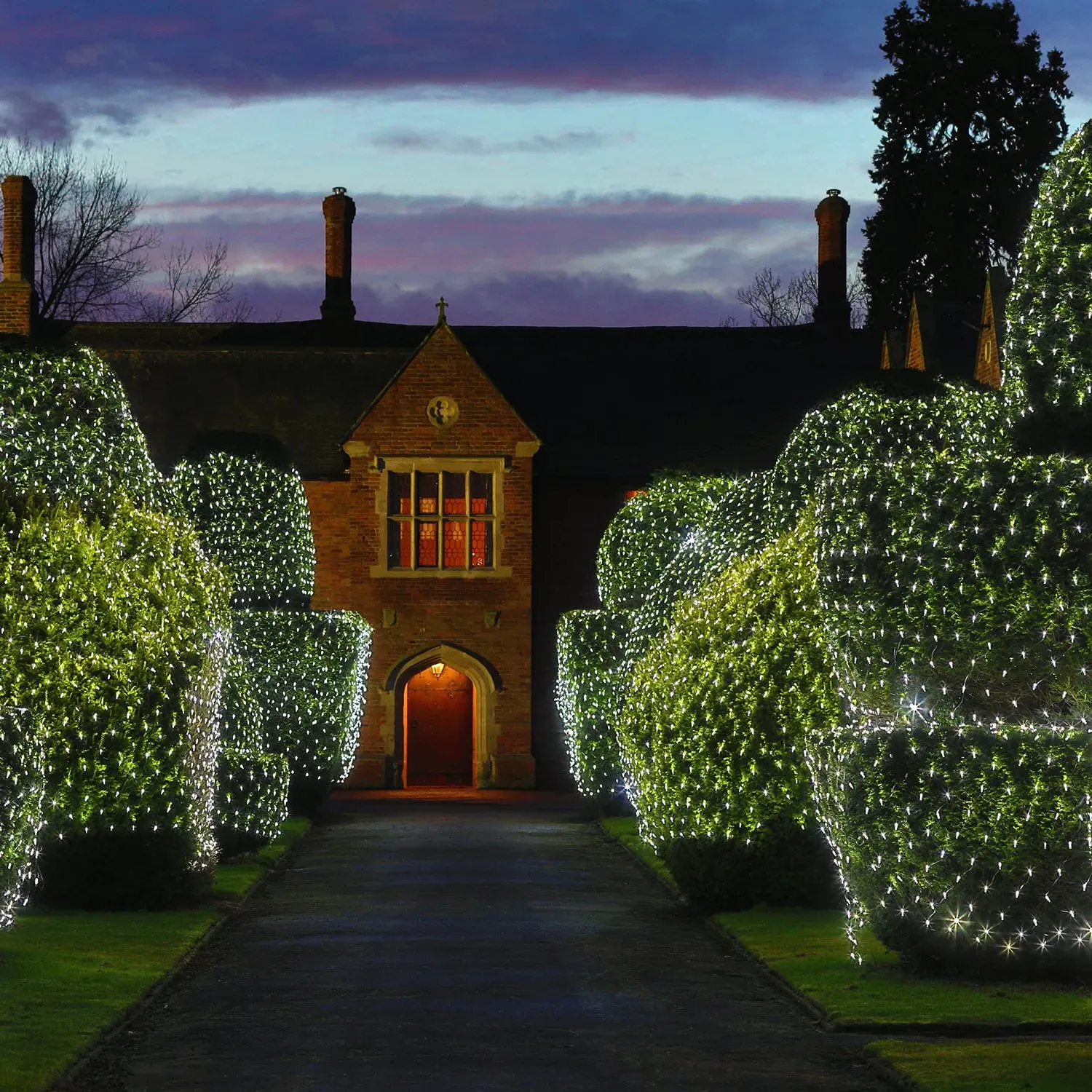 4m x 2m Net Lights Connectable - White