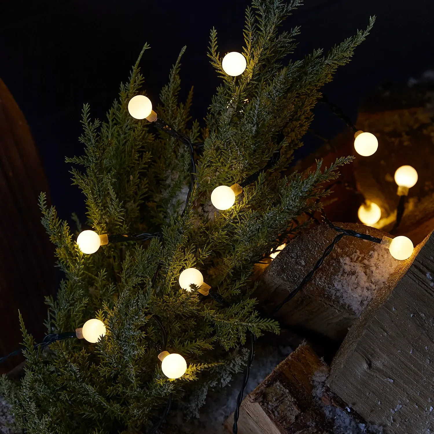 50 Berry Outdoor Fairy Lights - Warm White, Green