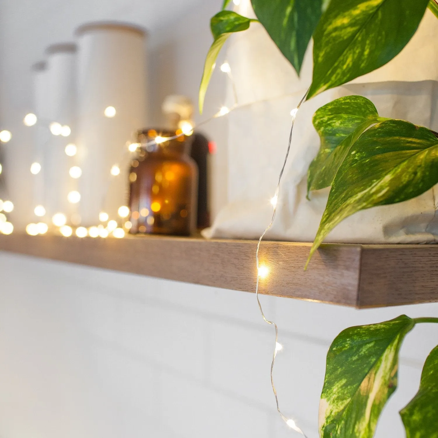50 LED Micro Fairy Lights - Warm White, USB