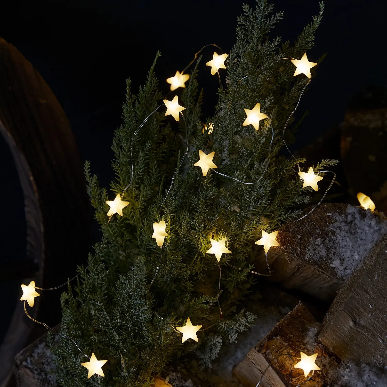 50 LED Star Micro Fairy Lights - Warm White