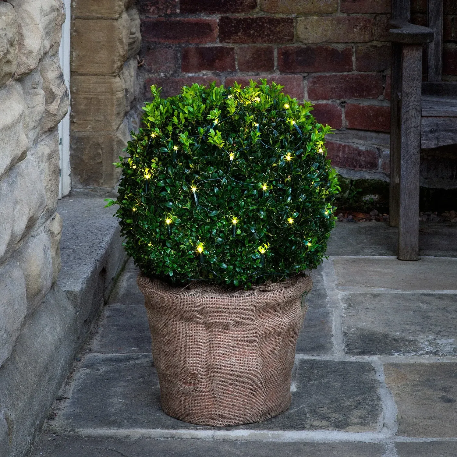 60 LED Topiary Net Light - Warm White, Battery image