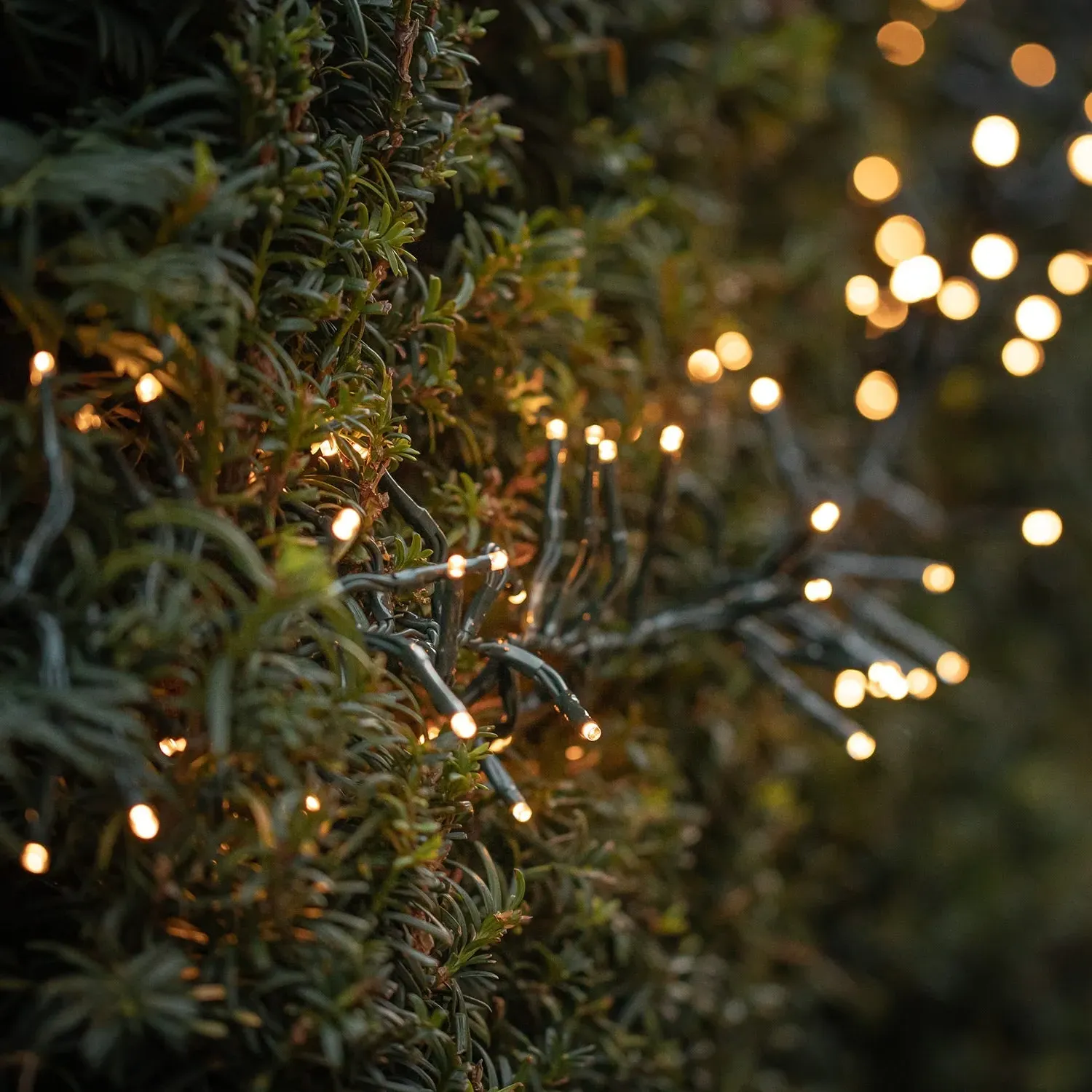 7m Solar Cluster Lights - Warm White, Wire image
