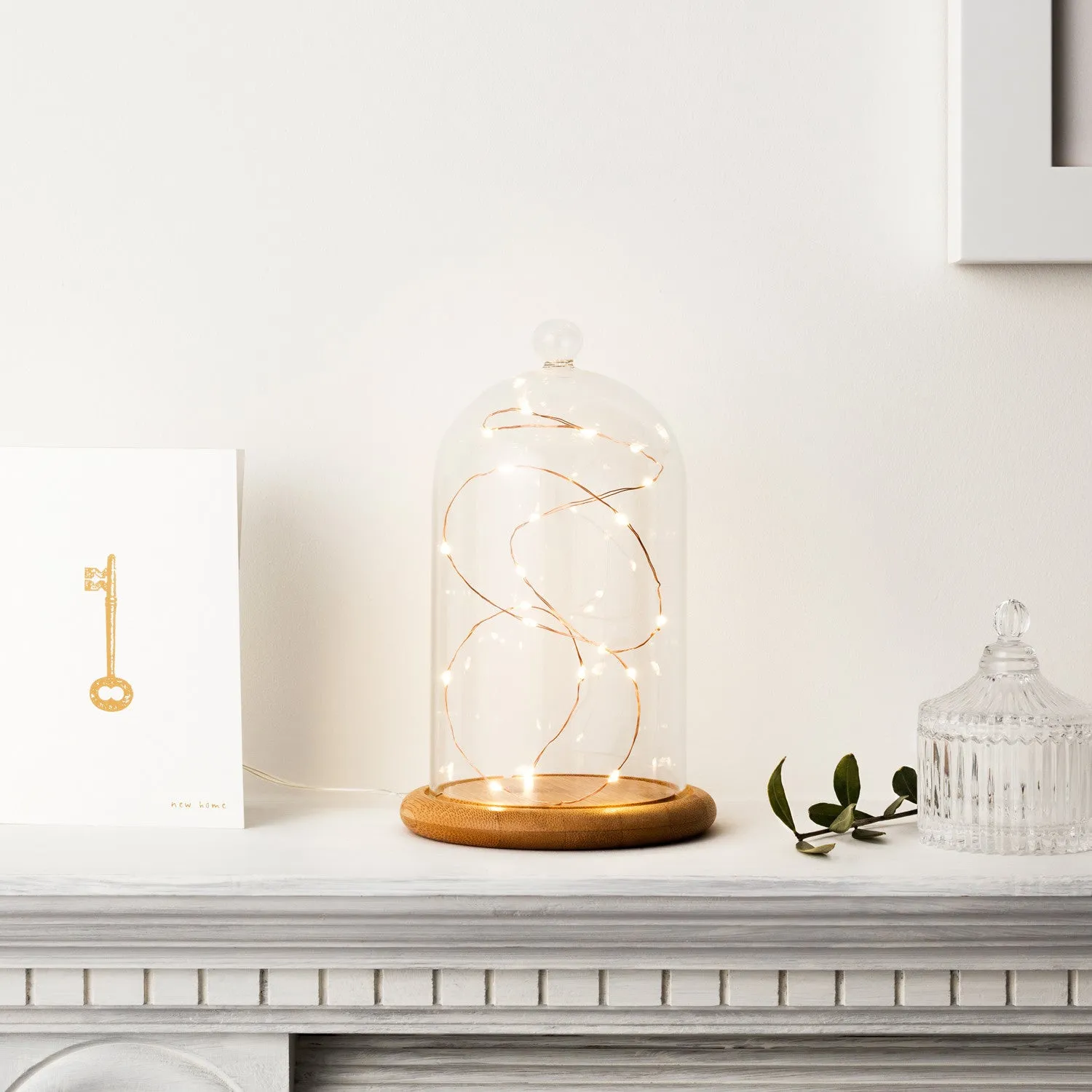 Bell Jar Light Bundle - Copper, Glass image