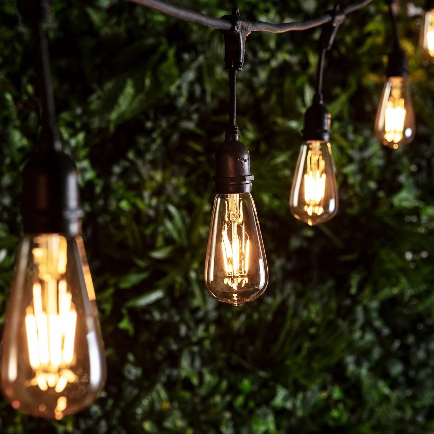 E27 LED Filament Bulb - Amber, Glass