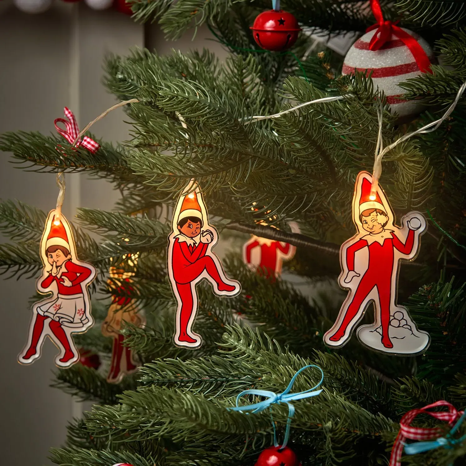 Elf Fairy Lights with Remote - Warm White, Acrylic