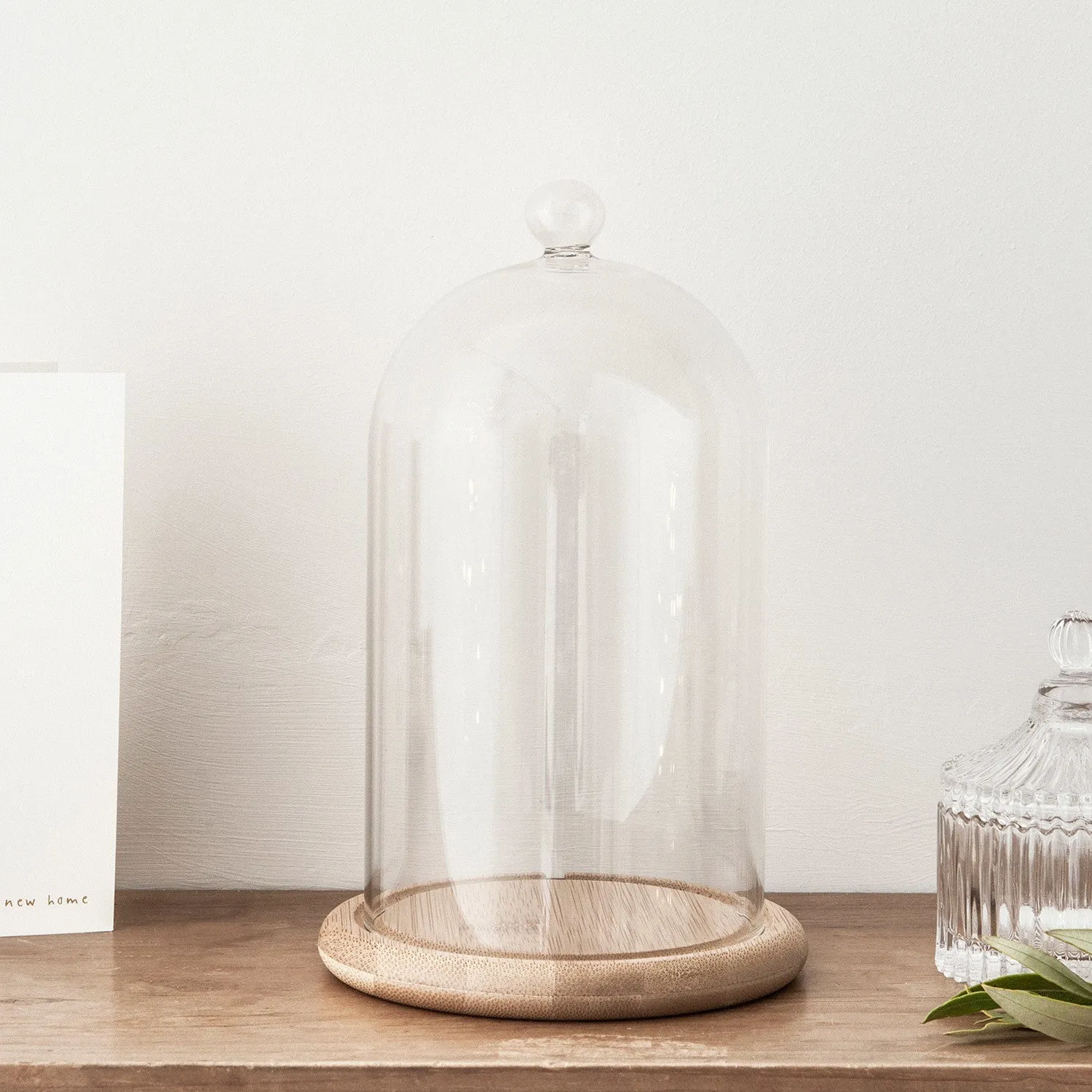 Glass Display Dome with Base - Clear, Bamboo