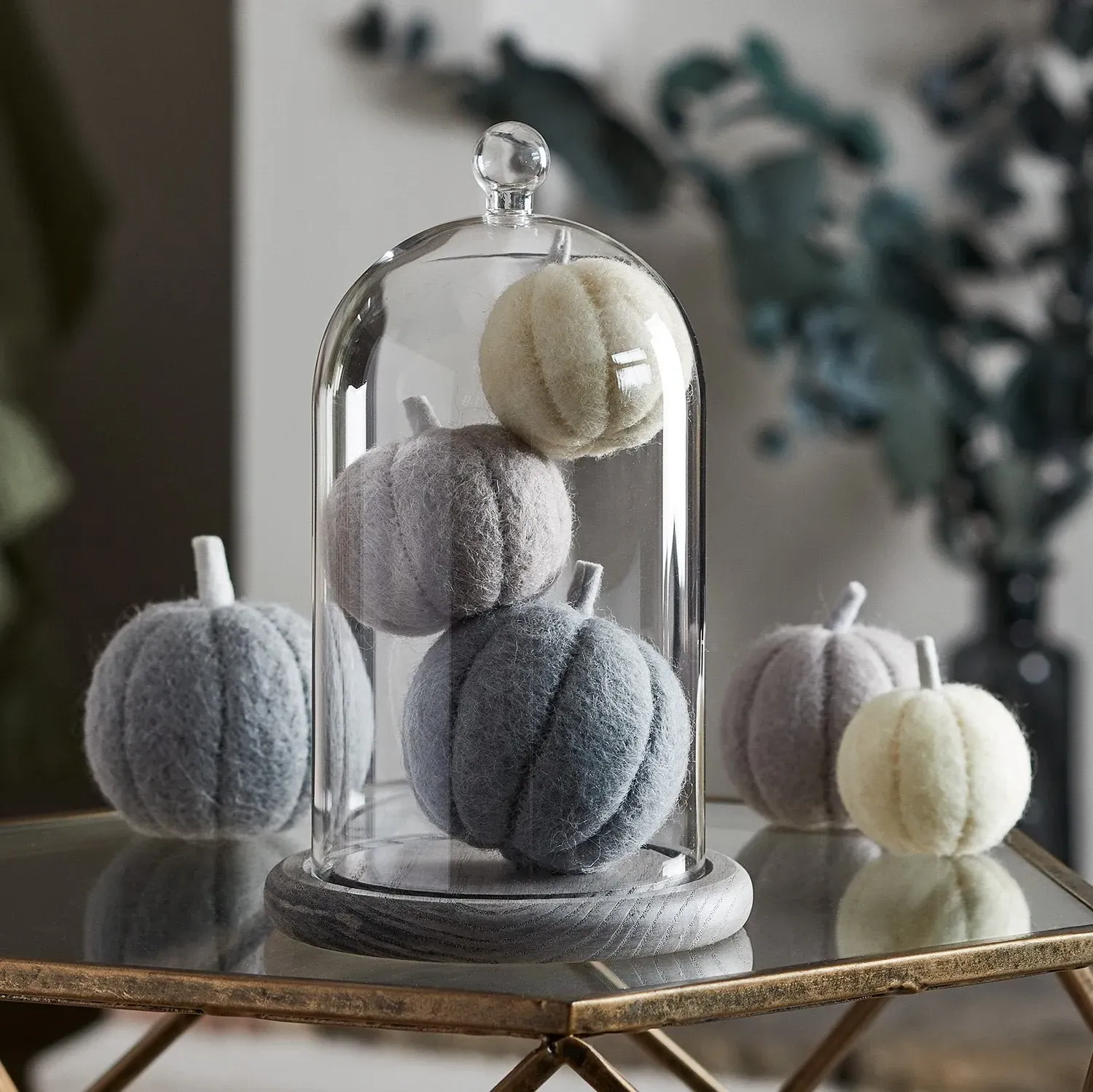 Glass Dome Bell Jar Display Case - Clear