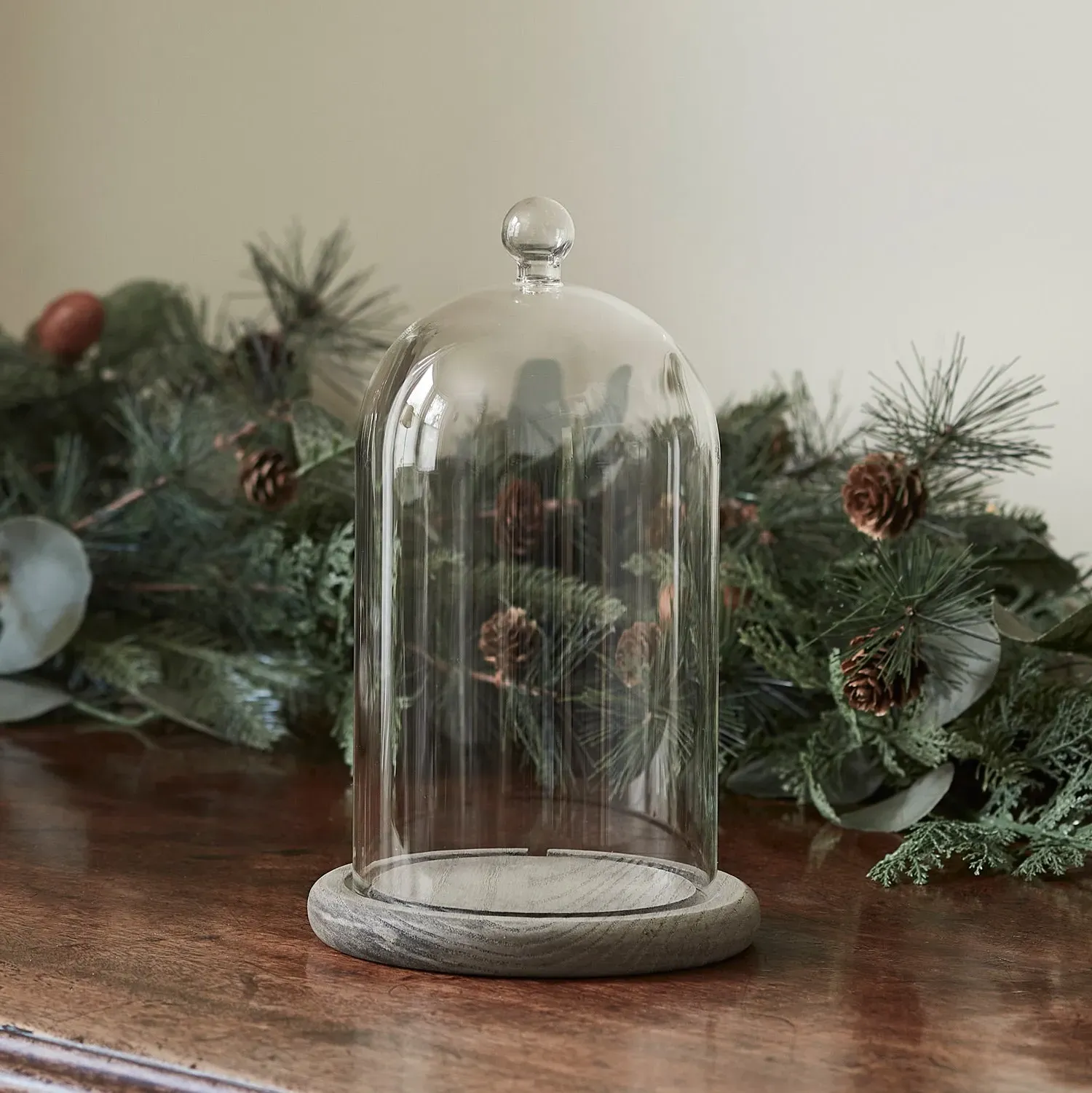 Glass Dome Bell Jar Display Case - Clear