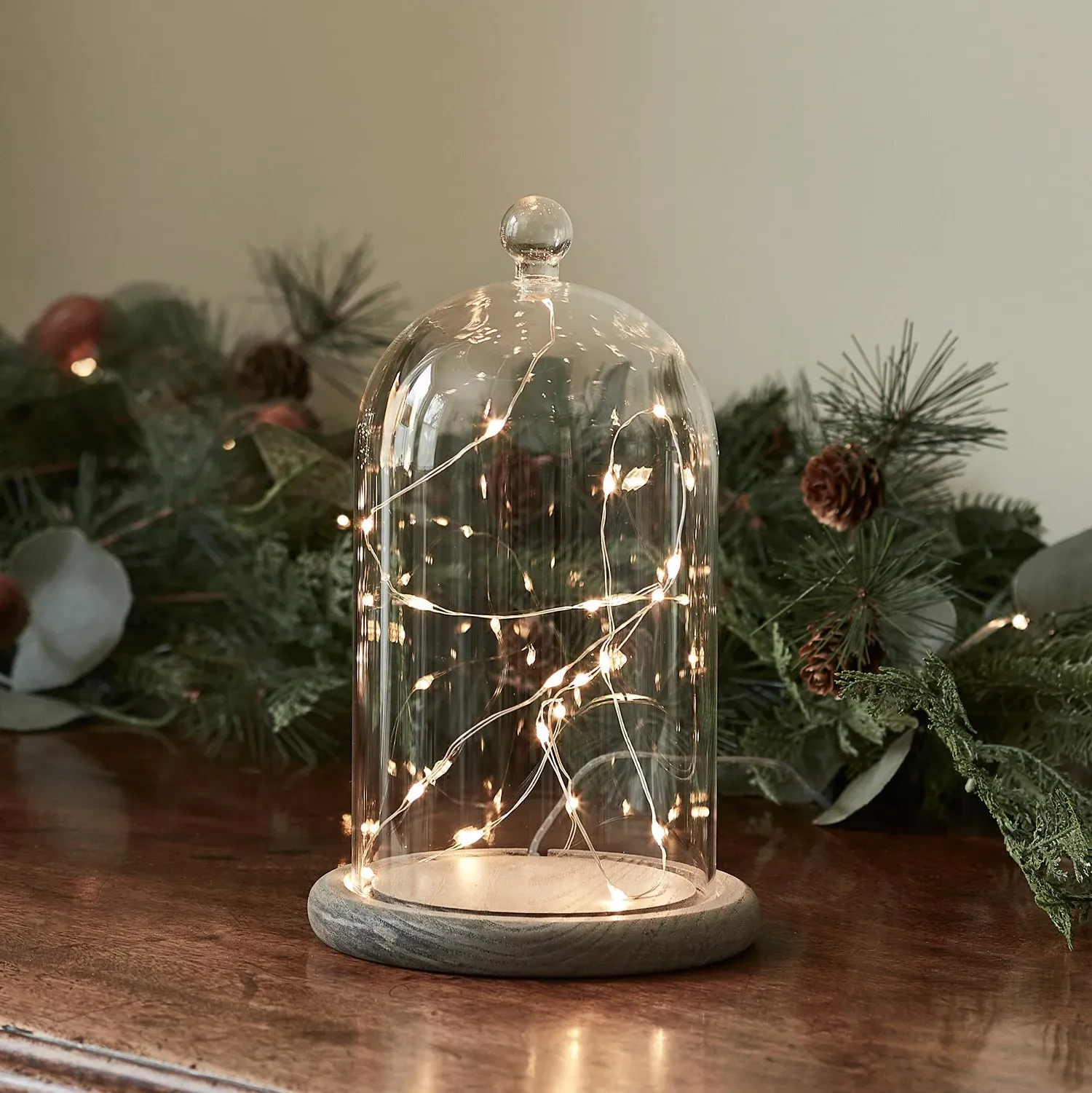 Glass Dome Bell Jar with Fairy Lights - Clear image